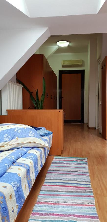 Kollege Hostel 克卢日-纳波卡 外观 照片